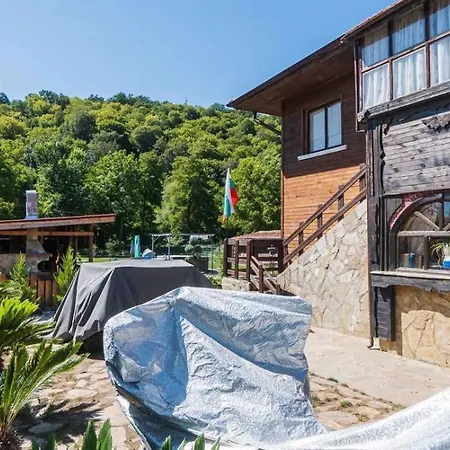 зеленият двор