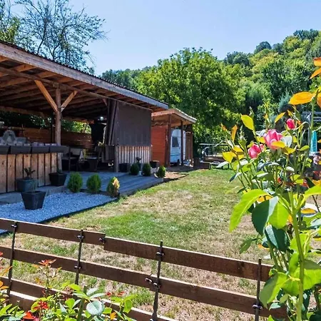 зеленият двор * Mladezhko