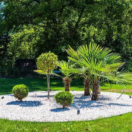 зеленият двор Case de vacanță *